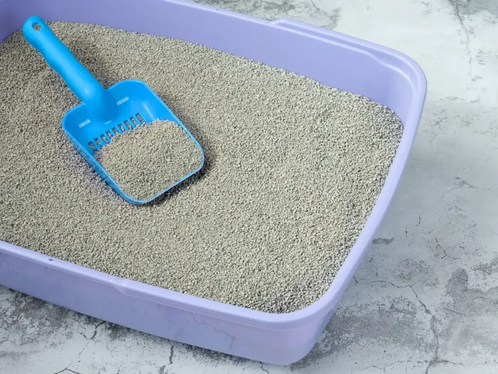 caixa de areia para gatos